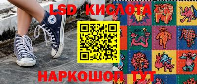 ГАЛЛЮЦИНОГЕННЫЕ ГРИБЫ Гусев