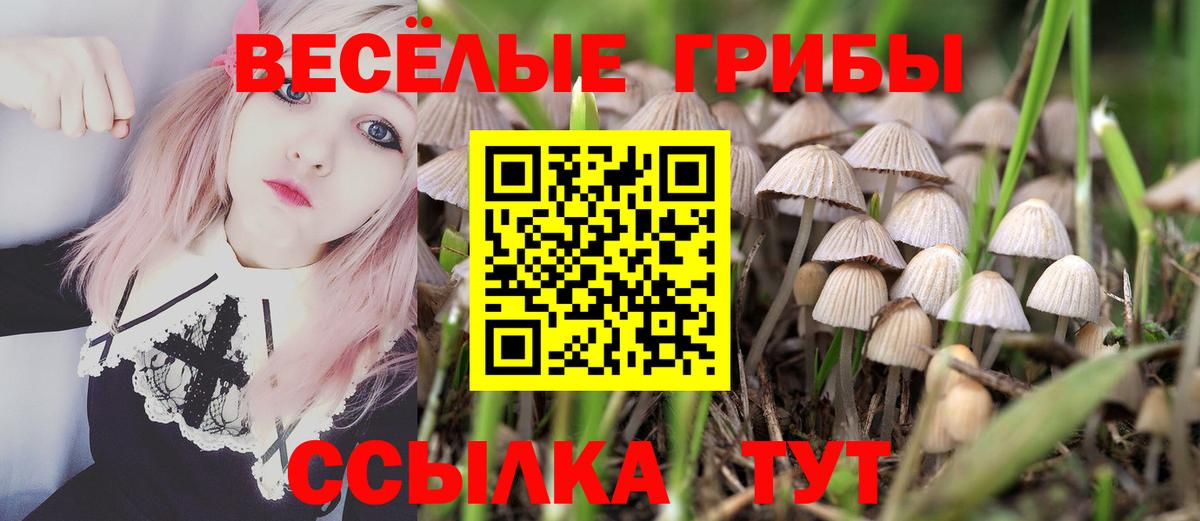 Галлюциногенные грибы MAGIC MUSHROOMS  Вход с VPN  Псилоцибиновые грибы Psilocybine cubensis  Нижний Тагил 